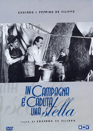 In the Country Fell a Star [DVD]