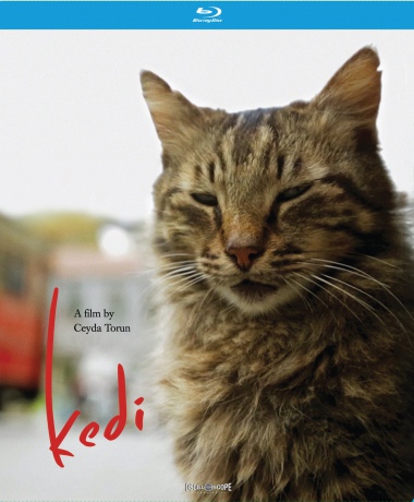 Kedi (Kedi - sekretne życie kotów) [Blu-Ray]
