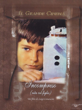 Misunderstood (Niezrozumiany) [DVD]