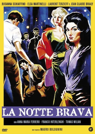 The Big Night (Noc brawury) [DVD]