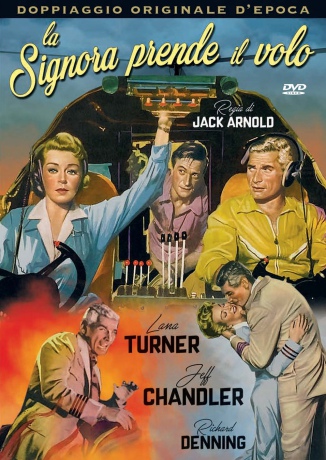 The Lady Takes a Flyer [DVD]