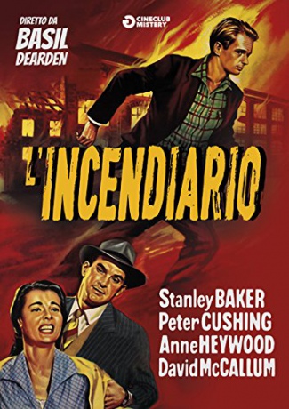 Violent Playground [DVD]