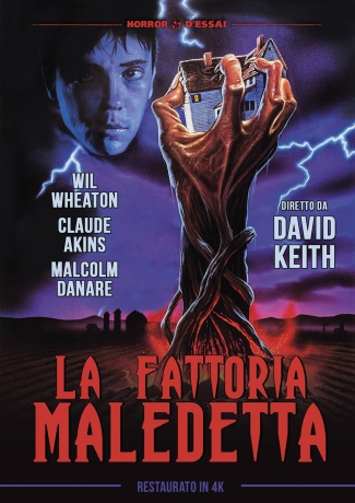 Klatwa (Klątwa) [DVD]