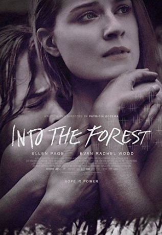 Into the Forest (Głusza) [DVD]