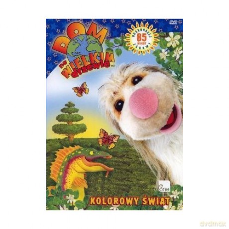 Dom Na Wielkim Drzewie: Kolorowy Świat [DVD]