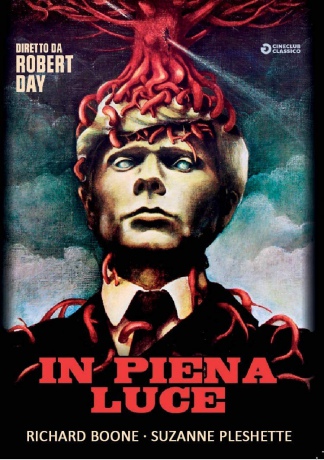 In Broad Daylight [DVD]