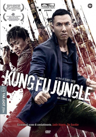 Kung Fu Jungle (Morderca mistrzów) [DVD]