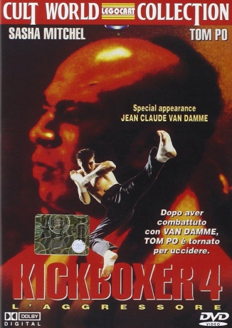 Kickboxer 4: The Aggressor [DVD]