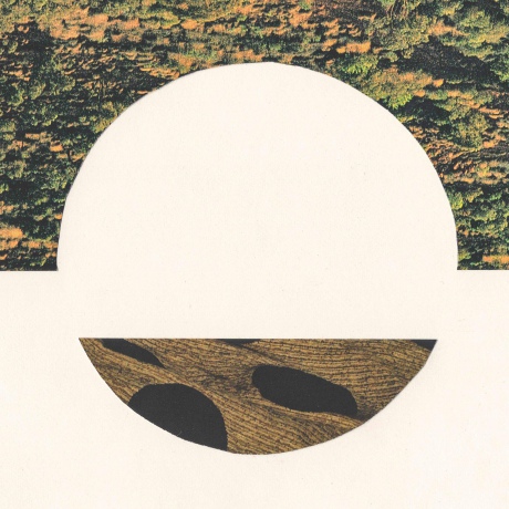 Robin Richards: Castel EP [Winyl]