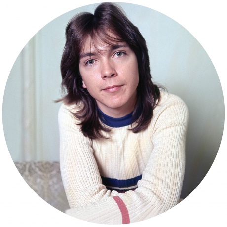 David Cassidy: I Think I Love You - Greatest Hits [Winyl]