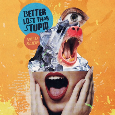 Better Lost Than Stupid: Wild Slide [2xWinyl]