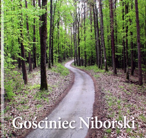 Gościniec Niborski [KSIĄŻKA]