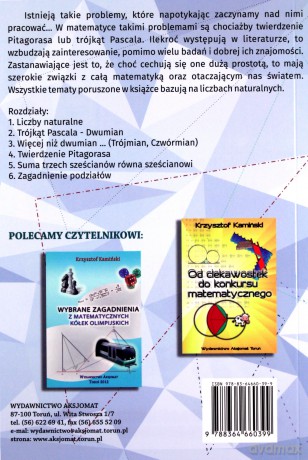 Tajemnice trójkątów arytmetycznych - Mirosław Komorowski [KSIĄŻKA]