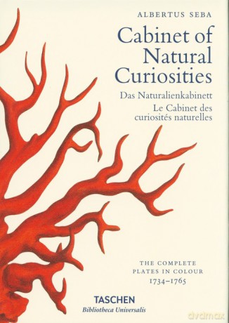 Cabinet of Natural Curiosities - Albertus Seba [KSIĄŻKA]