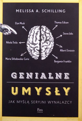 Genialne umysły - Melissa A. Schilling [KSIĄŻKA]