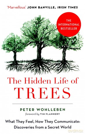 The Hidden Life of Trees - Peter Wohlleben [KSIĄŻKA]