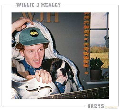 Willie J. Healey: Greys [Winyl]