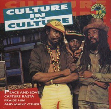 Culture: In Culture [CD]