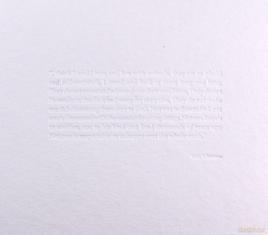 Agalloch: The White EP [CD]