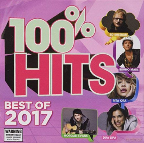 100% Hits: Best Of 2017 [CD]