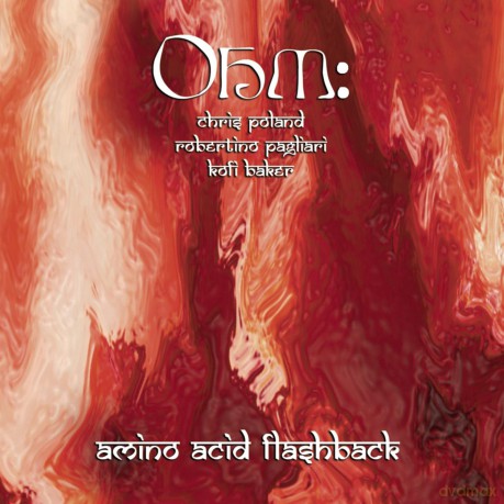 Ohm: Amino Acid Flashback [CD]