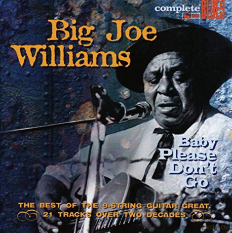 Big Joe Williams: Baby Please Don't Go [CD]