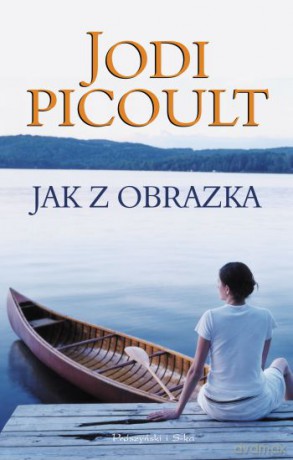 Jak z obrazka - Jodi Picoult [KSIĄŻKA]