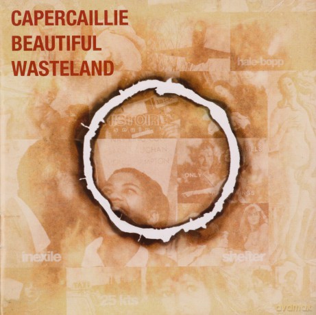 Capercaillie: Beautiful Wasteland [CD]