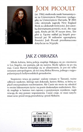 Jak z obrazka - Jodi Picoult [KSIĄŻKA]