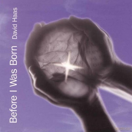 David Has: Before I Was Born [CD]