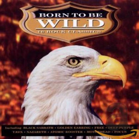 Born to Be Wild: 16 Rock Classics [CD]