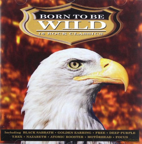 Born to Be Wild: 16 Rock Classics [CD]