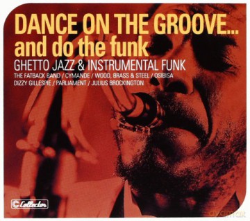Dance on the Groove [CD]