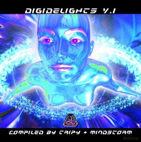 Digidelights V.1 [CD]