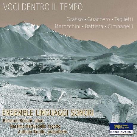 Ensemble Linguaggi Sonori: Ensamble Linguaggi Sonori Musiche Di Fabio Grasso, Giovanni Guaccero, Stefano Taglietti, Enrico Maroch [CD]