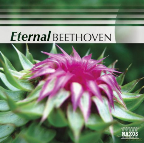 Eternal Beethoven [CD]
