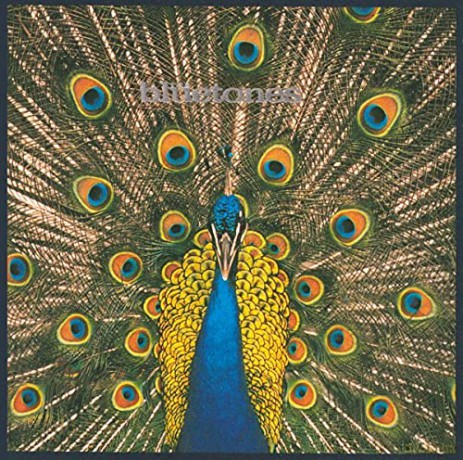 Bluetones: Expecting to Fly [CD]