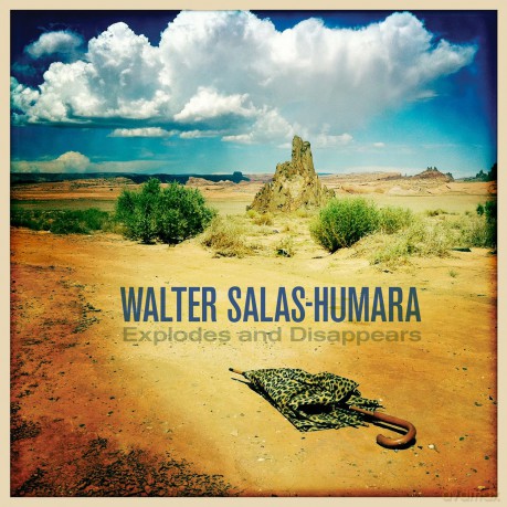 Walter Salas-humara: Explodes And Disappears [CD]