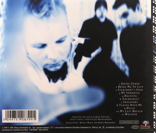 Evanescence: Fallen [CD]