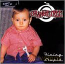 Orangetree: Fixing Stupid [CD]