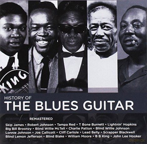 Hall Of Fame: History Of The Blues Guitar [CD]