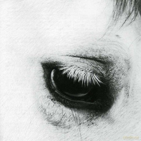 Creepoid: Horse Heaven [CD]