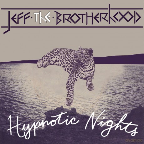Jeff the Brotherhood: Hypnotic Nights [CD]