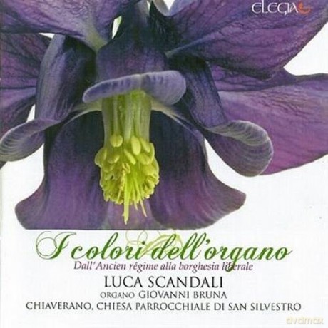 Luca Scandali: Organ: I Colori Dell'Organo [CD]