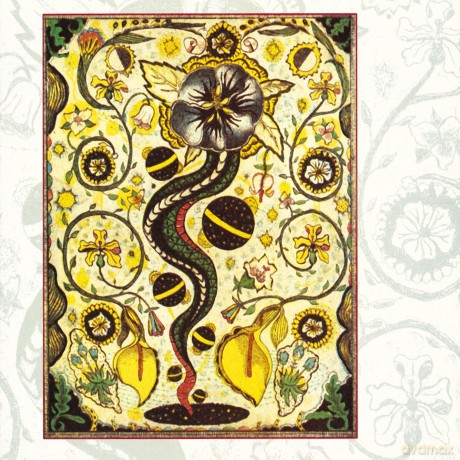 Steve Earle: I Feel Alright [CD]