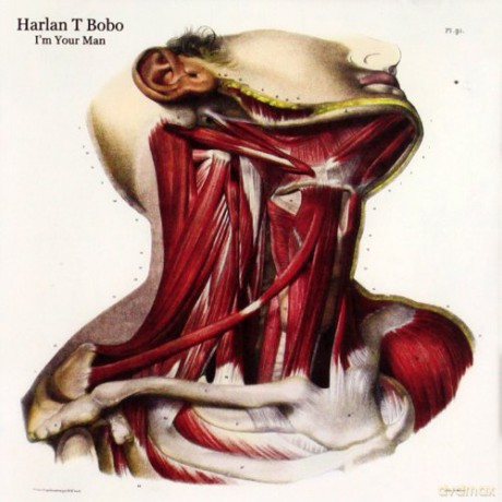 Harlan T. Bobo: i'm Your Man [CD]