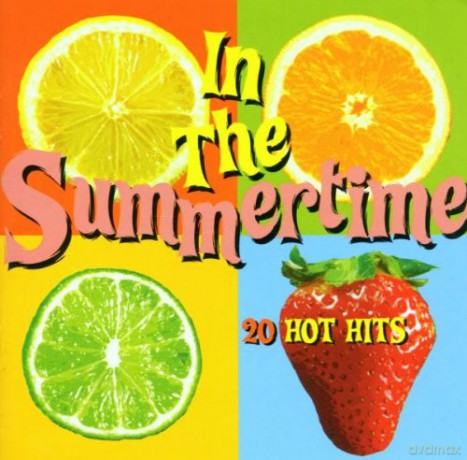 In The Summertime [CD]