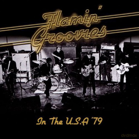 Flamin' Groovies: In the u.s.a '79 [CD]