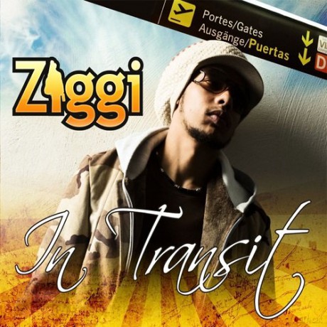 Ziggi Recado: In Transit [CD]