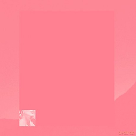 Pinkcourtesyphone: Indelicate Slices [CD]